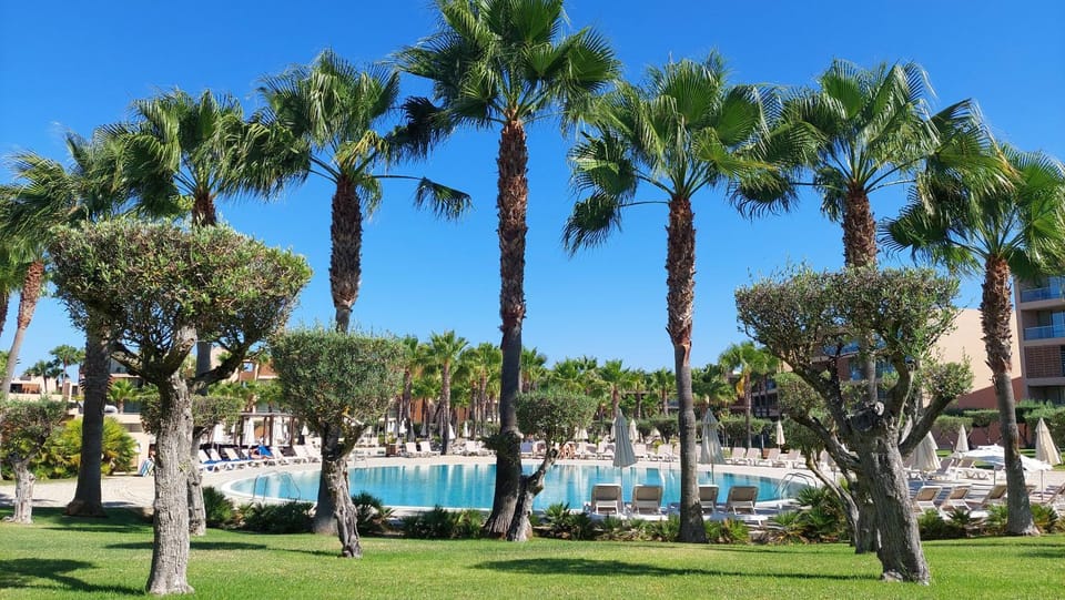 Natural landscape, Garden, Pool view, Swimming pool, Swimming pool