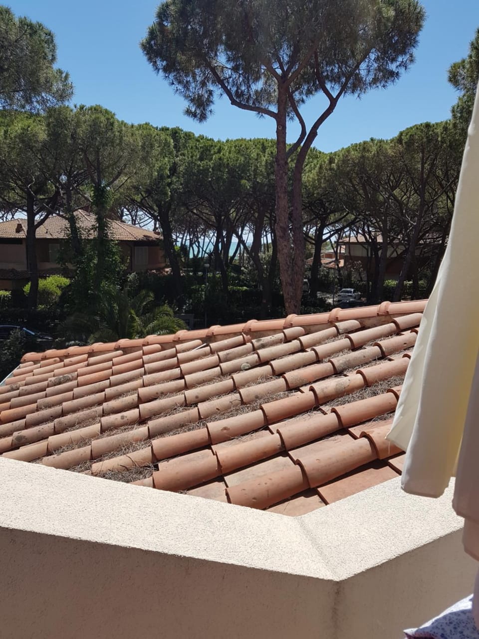 Lara Elite Apartment in Castiglione della Pescaia