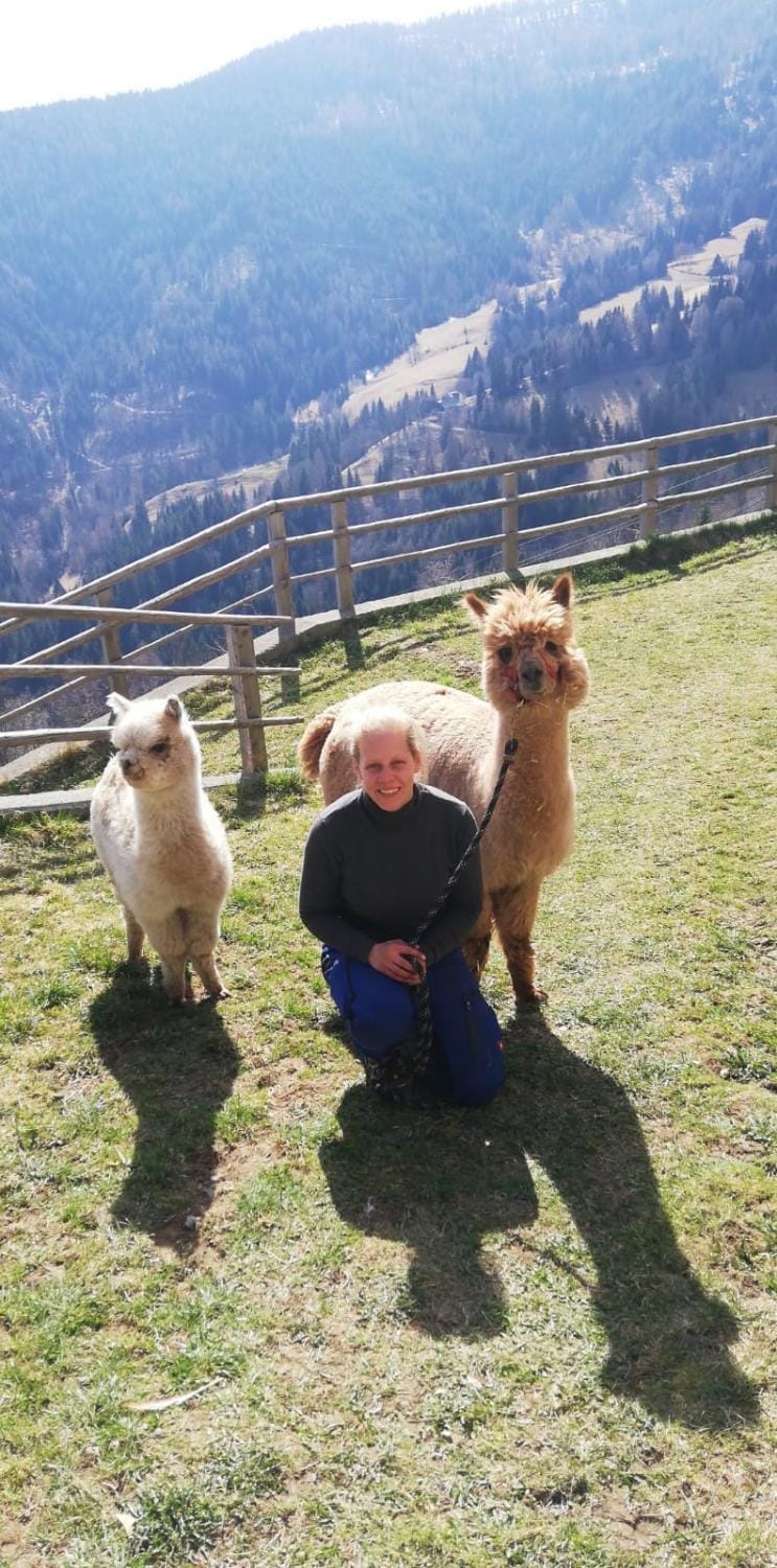 Animals
