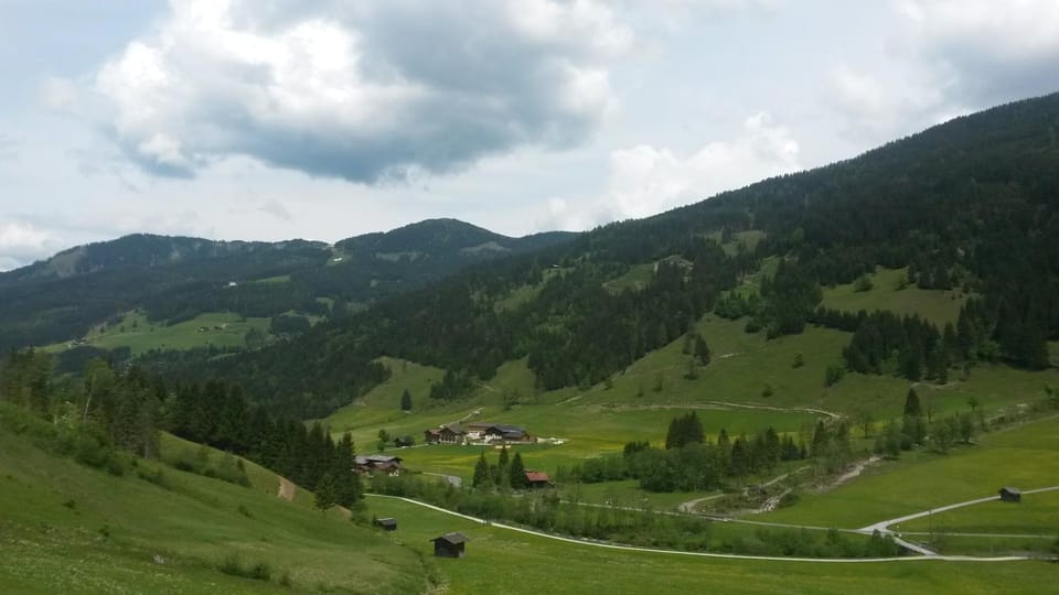 Mountain view