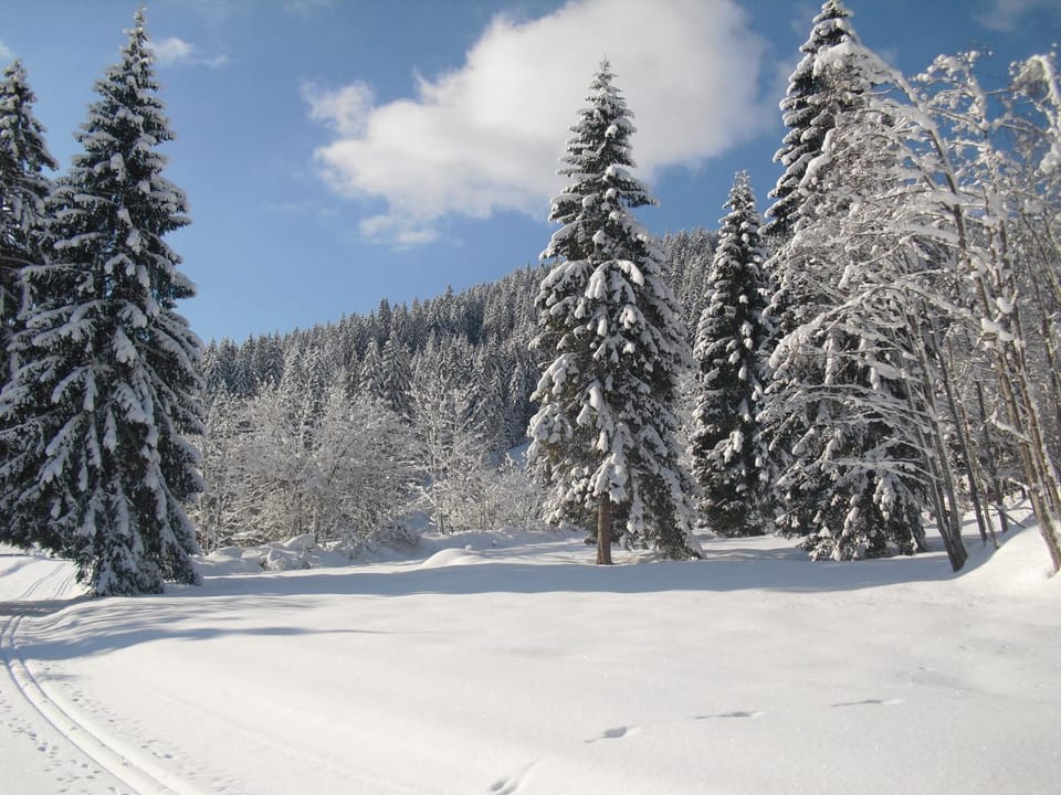Winter
