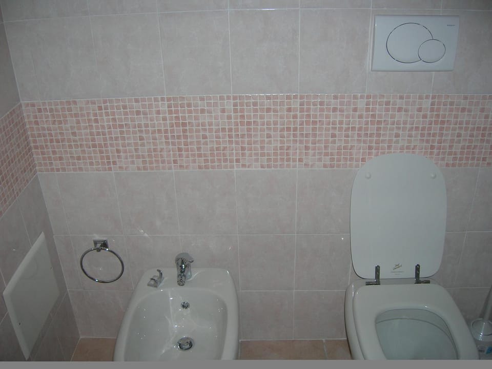 Shower, Toilet, Bathroom, bidet