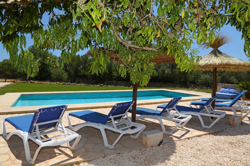 Spring, Day, Garden, Pool view, Swimming pool, sunbed