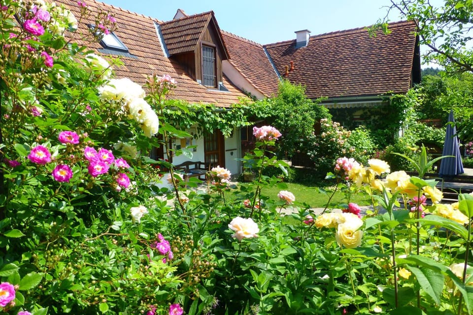 Property building, Spring, Garden, Garden view