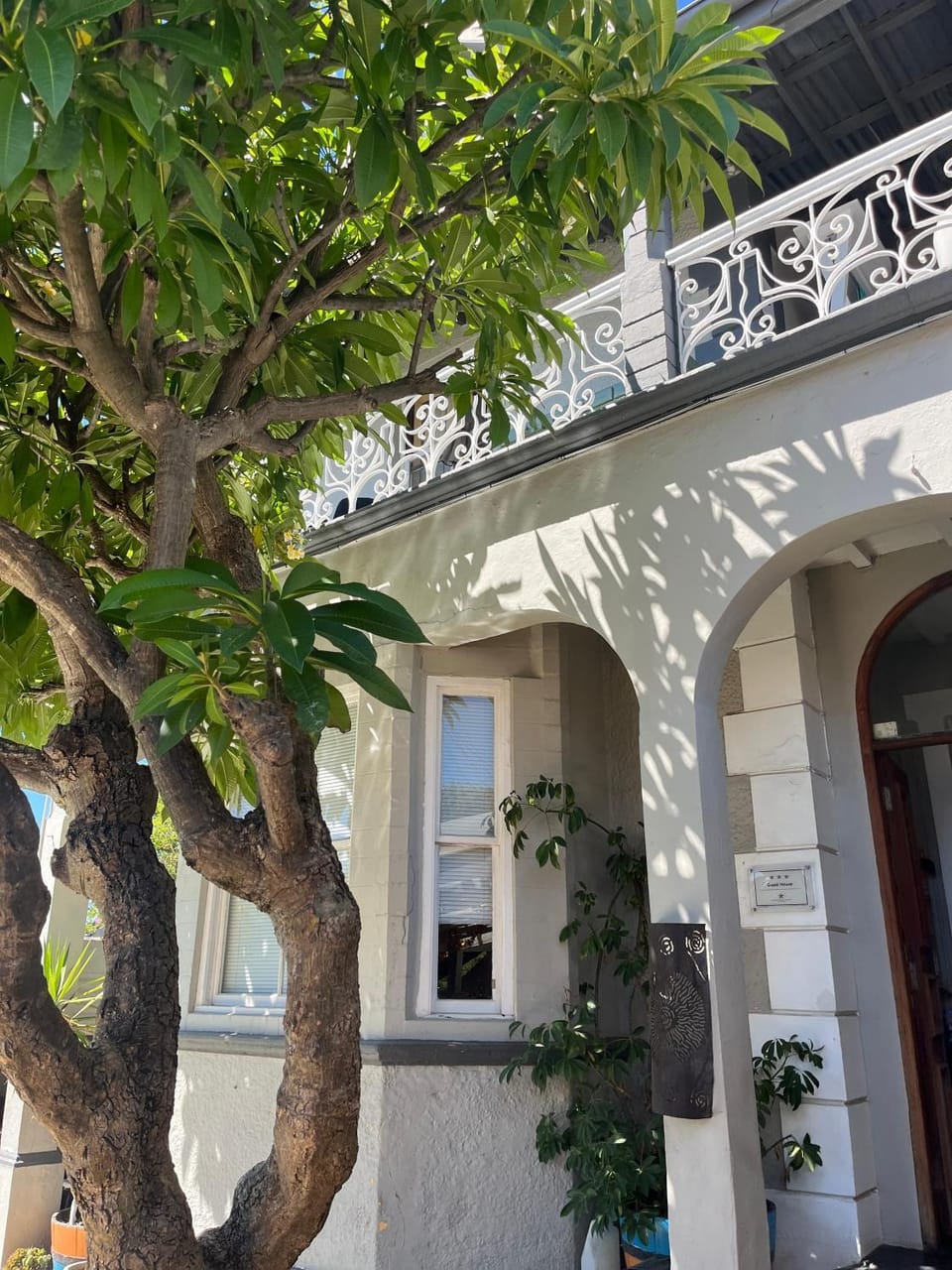 Green Elephant Backpackers Hostel in Cape Town