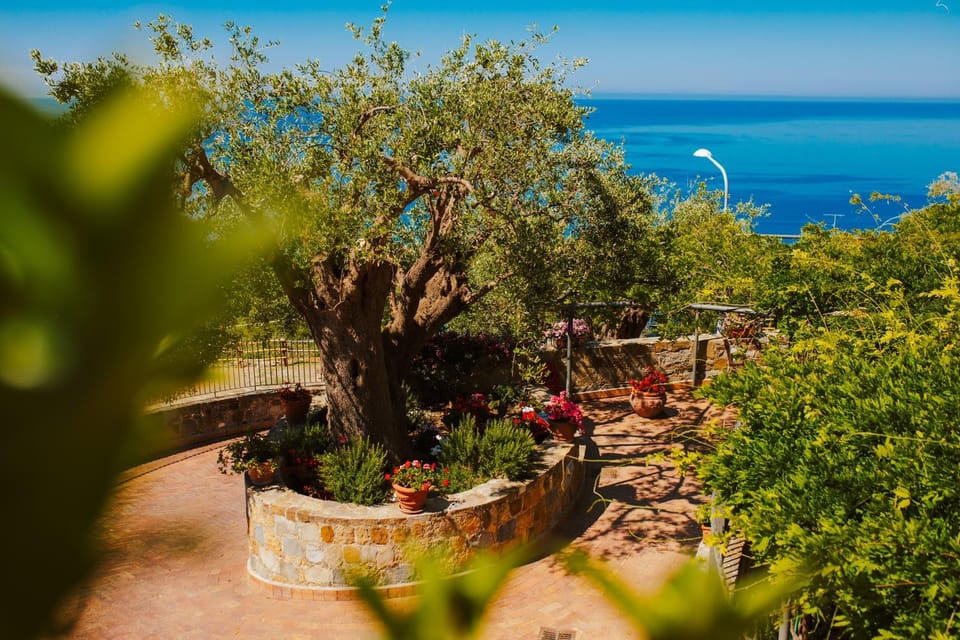 Patio, Sea view