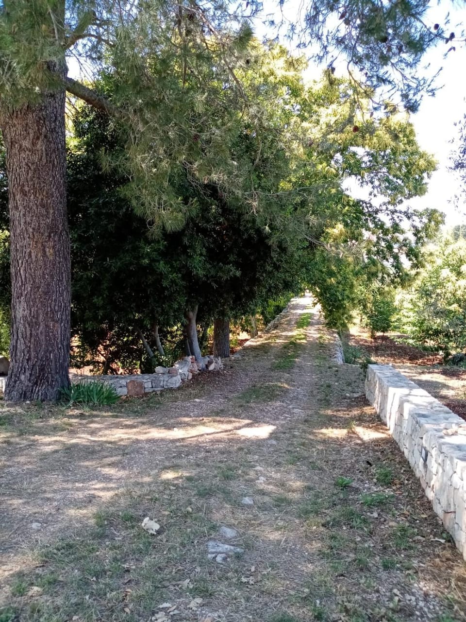 Il Trullo E Il Fortino Apartment in Province of Taranto