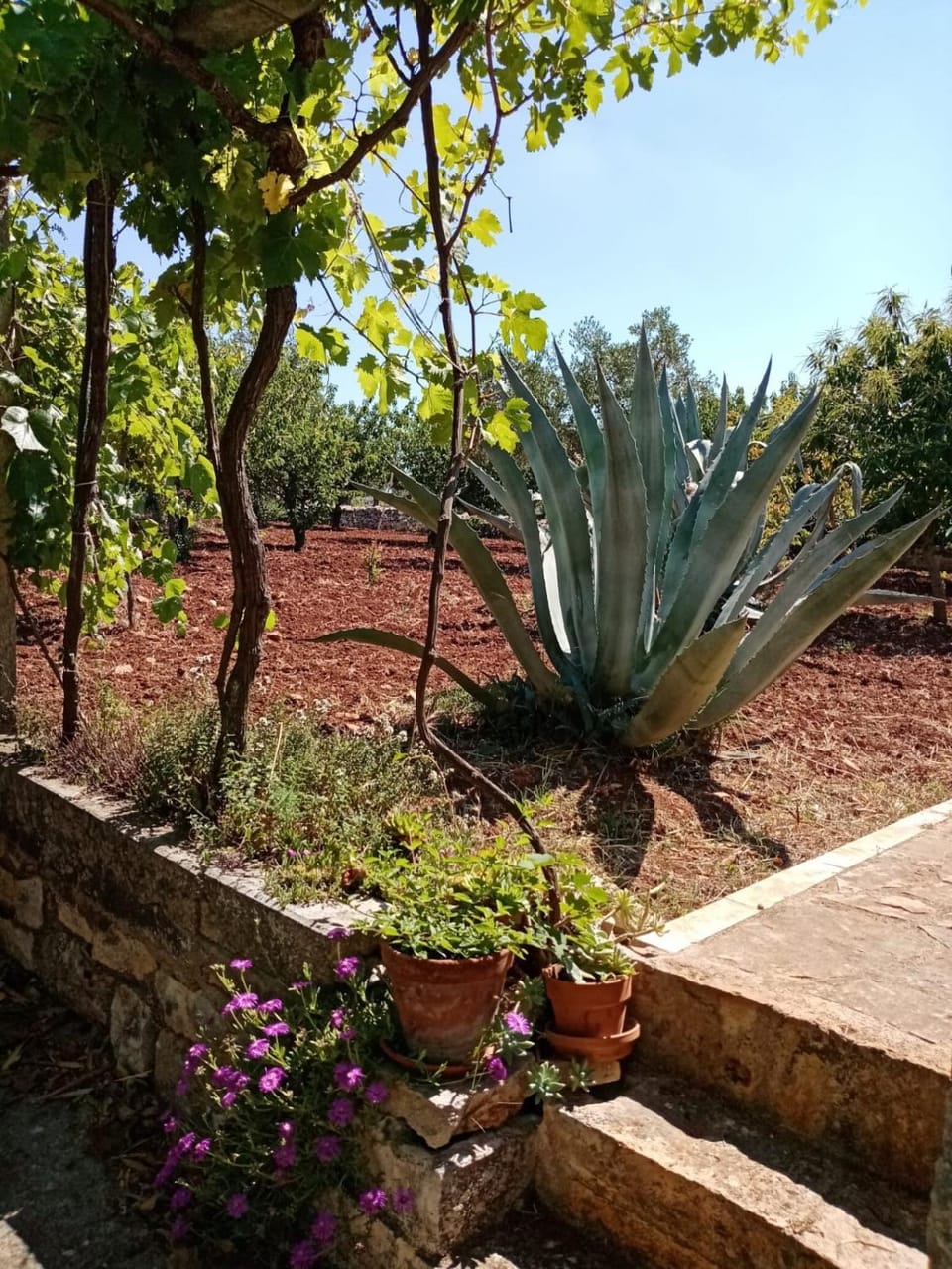 Il Trullo E Il Fortino Apartment in Province of Taranto