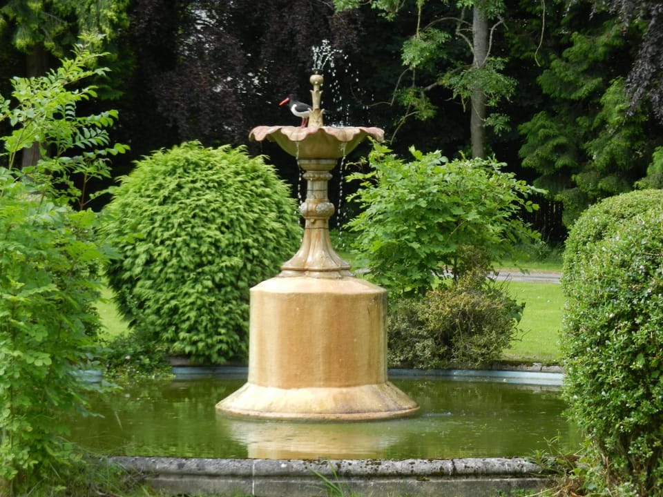 Garden, Decorative detail