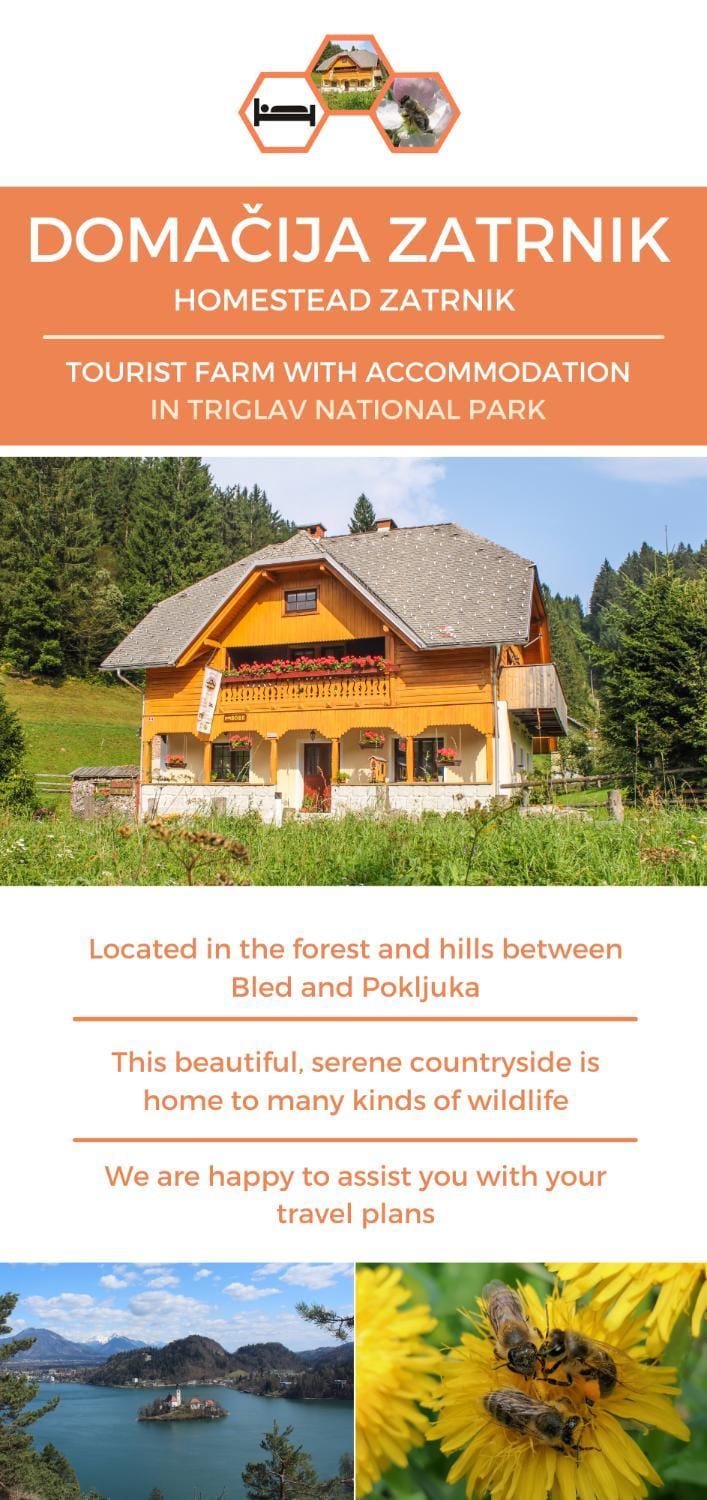 Homestead Zatrnik near Bled Farm Stay in Slovenia
