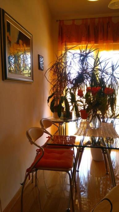 APARTMENT IVA 2 Apartment in Medulin