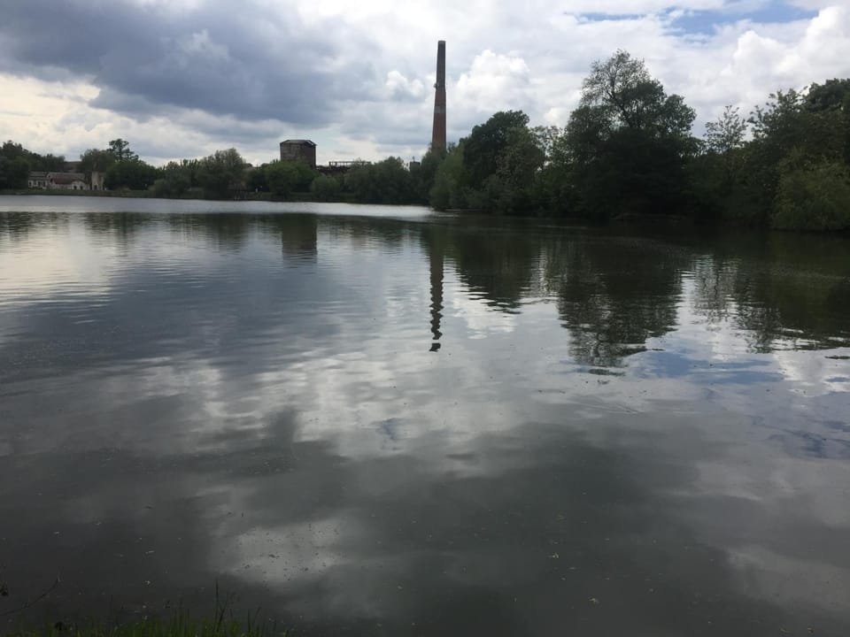 Lake view