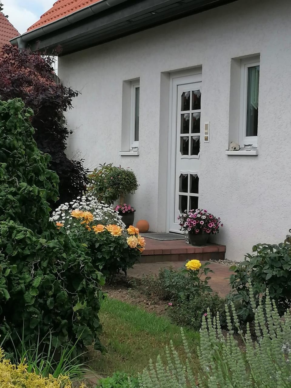Appartement Fam. M.Lehmann Apartment in Heringsdorf