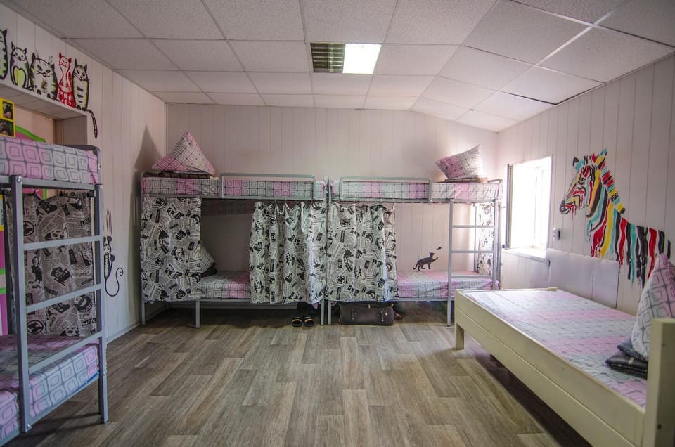 Bed, Photo of the whole room, Bedroom, bunk bed