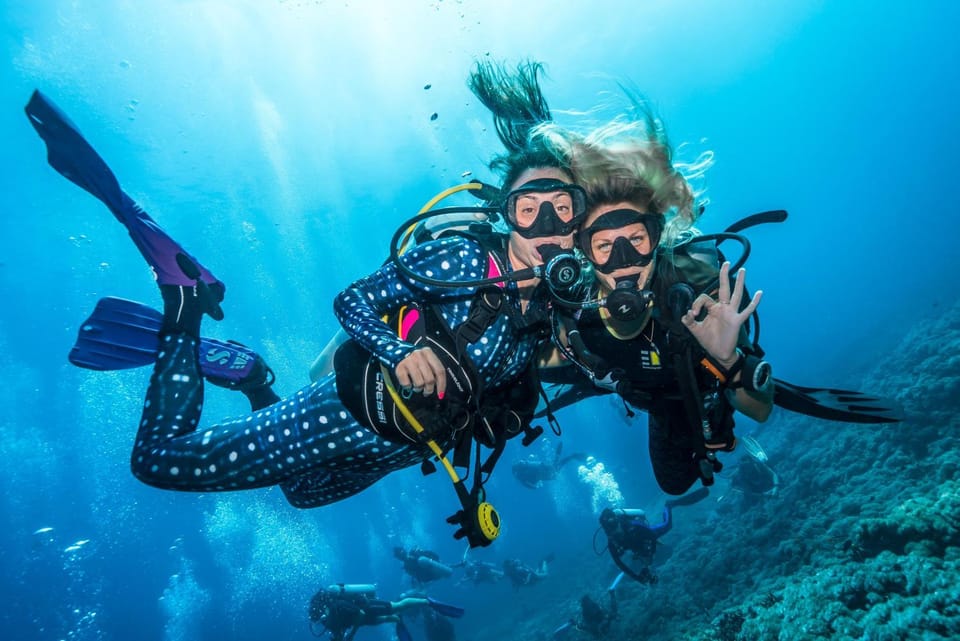 Activities, Diving
