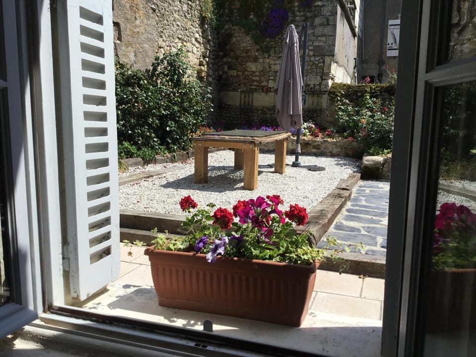 On site, Pets, Garden view