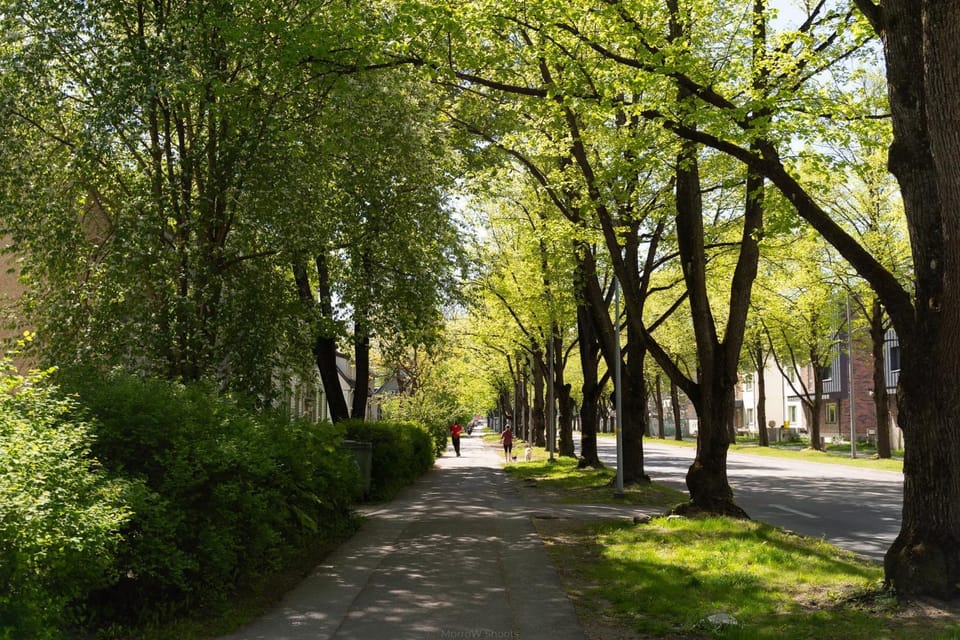 Neighbourhood