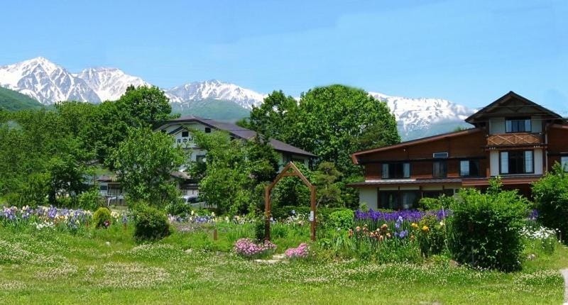 Property building, Day, Garden