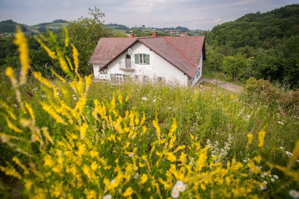Property building, Summer
