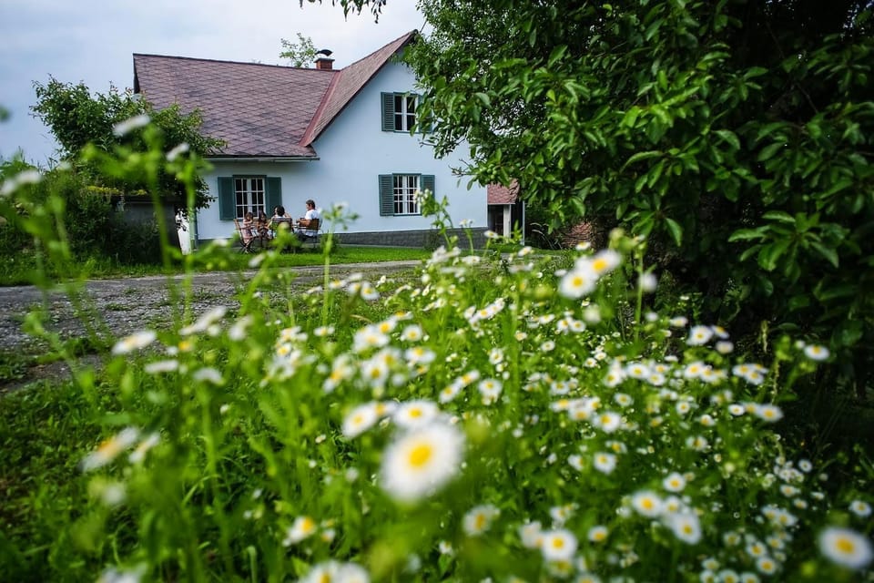 Property building, Summer