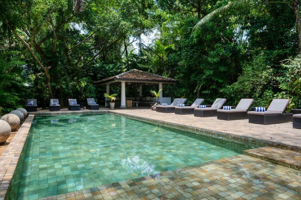 Day, Pool view, Swimming pool, sunbed