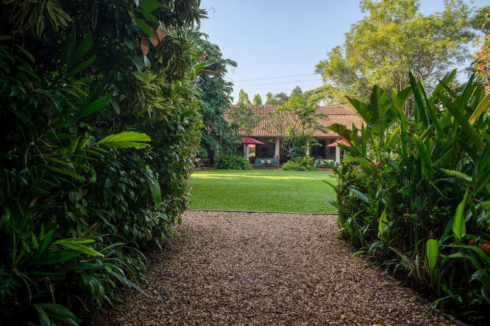 Spring, Day, Natural landscape, Garden, Garden view
