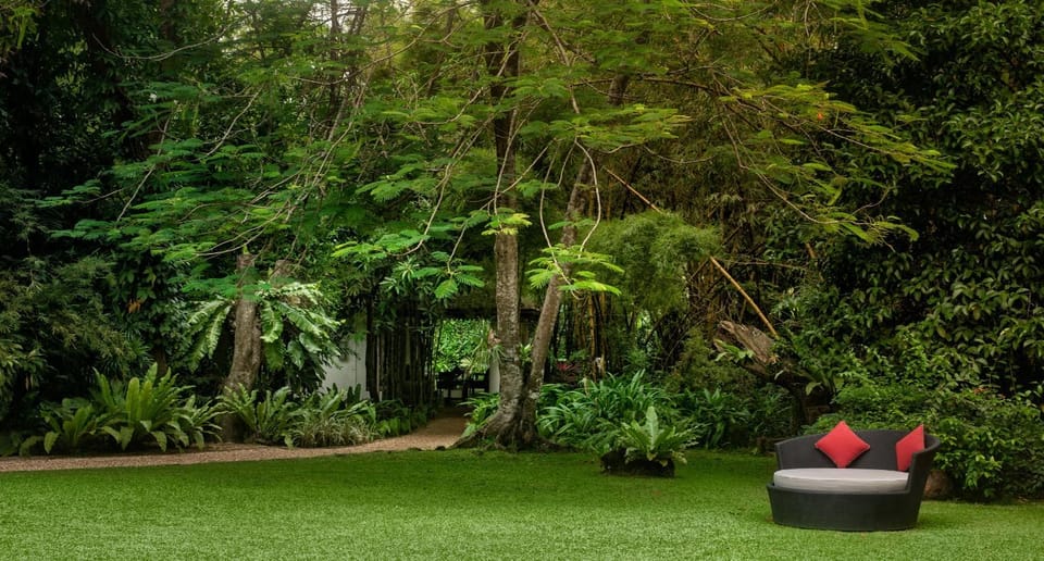 Spring, Day, Natural landscape, Garden, Garden view