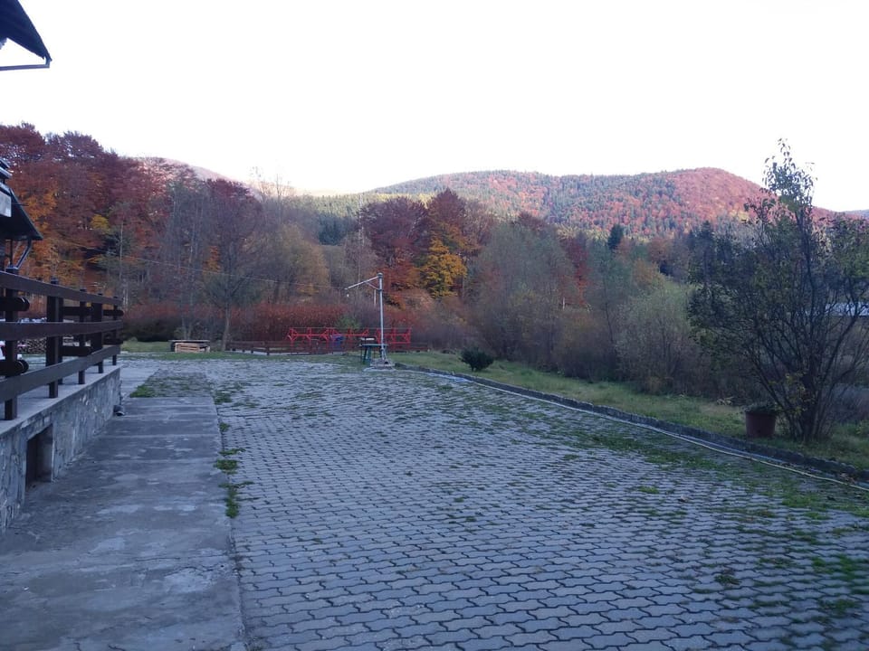 Mountain view