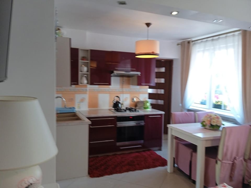 Apartament u Wiioli Vacation rental in West Pomeranian Voivodeship, Poland