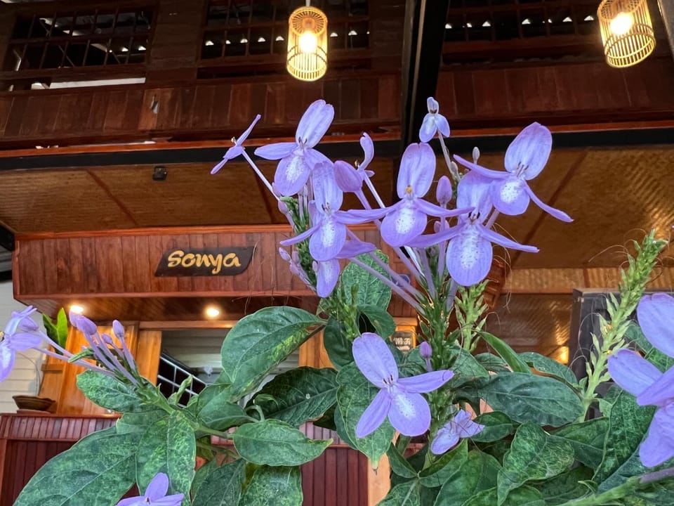 Sonya Kohlanta Bed and Breakfast in Sala Dan