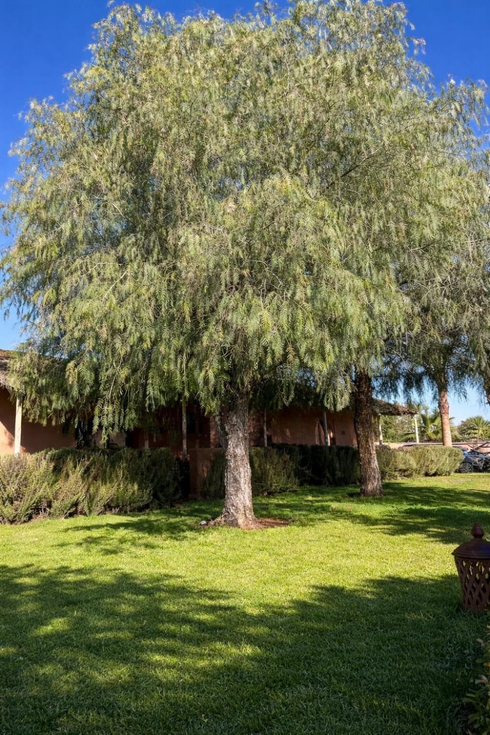 Les Orangers De l'Ourika Bed and Breakfast in Marrakesh-Safi