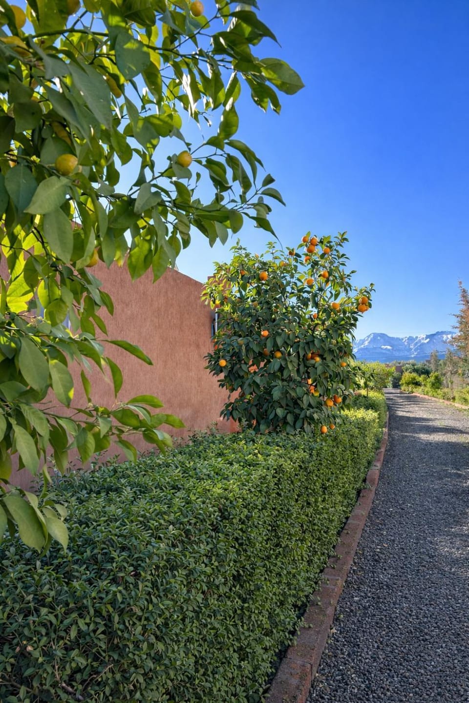 Les Orangers De l'Ourika Bed and Breakfast in Marrakesh-Safi
