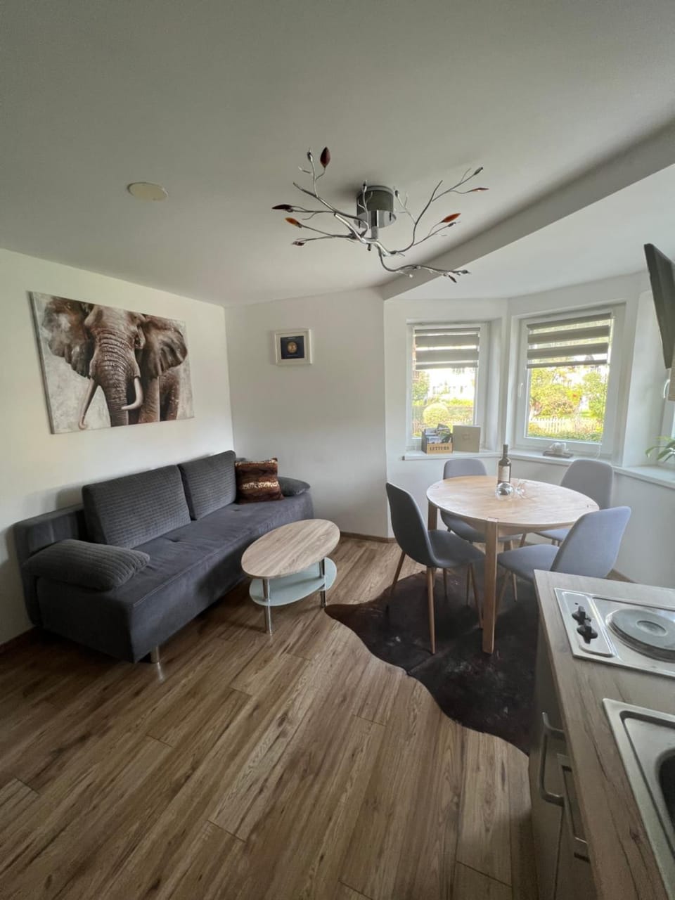 Appartement Petra Apartment in Zell am See
