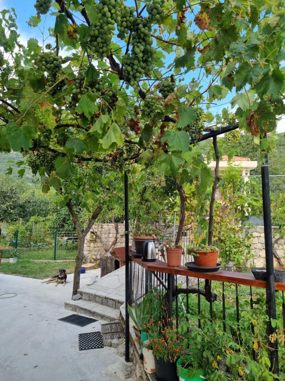 Guest house Duletic Apartment in Budva Municipality