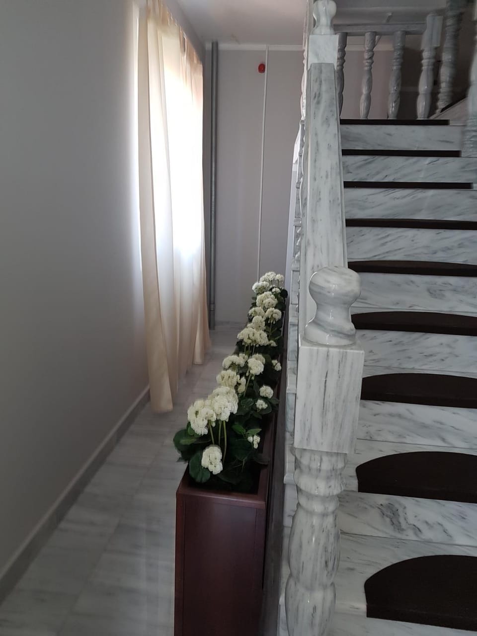 Golden Danube Bed and Breakfast in Vojvodina