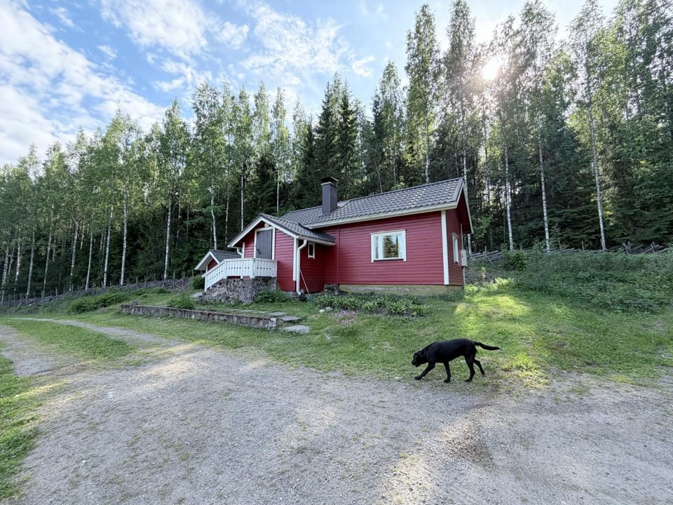 Property building, Natural landscape, Pets