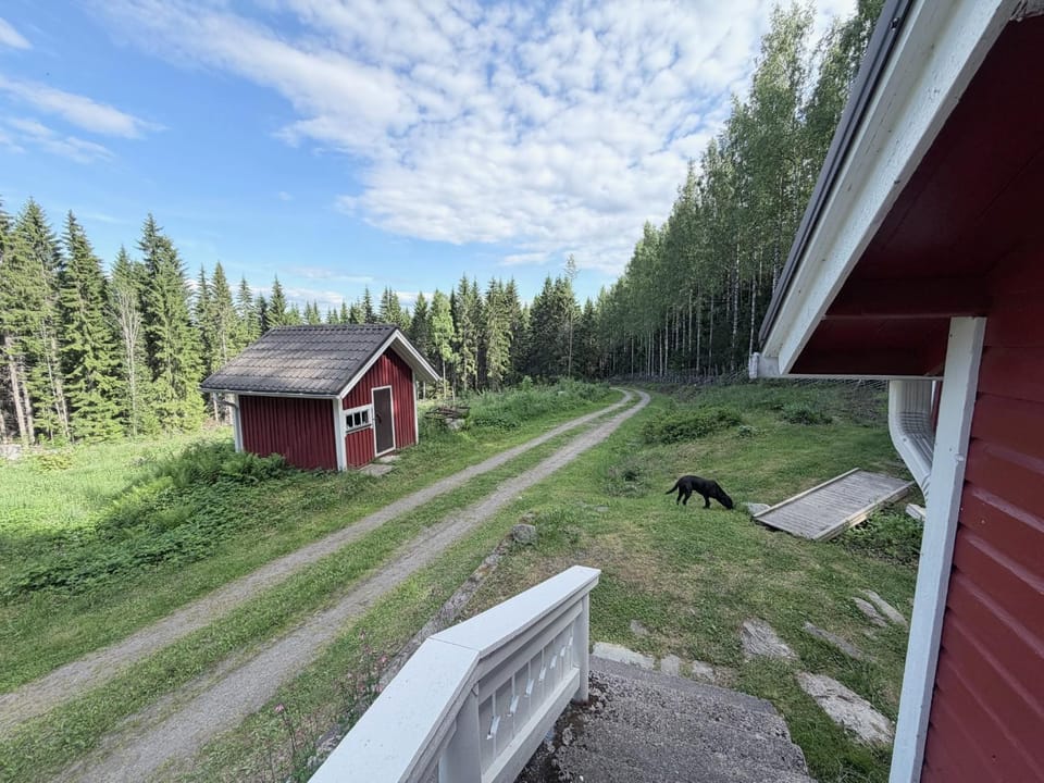 Property building, Spring, Day, Pets
