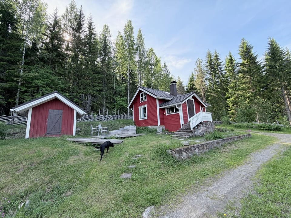 Property building, Spring, Natural landscape, Pets