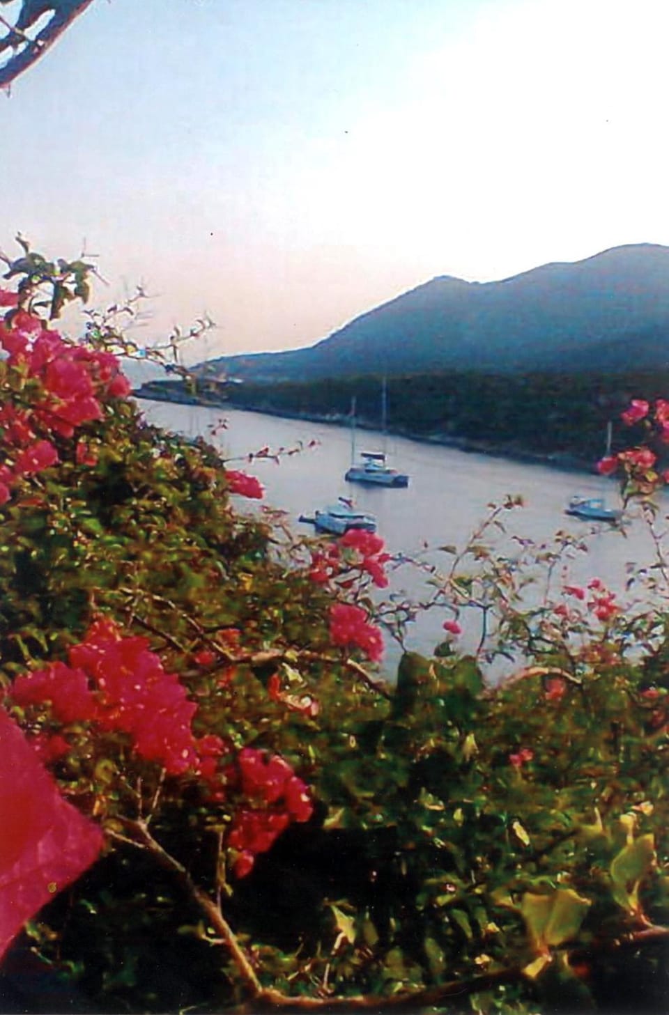 Villa Errieta Apartment in Cephalonia