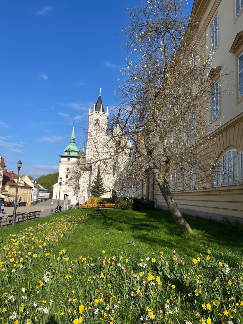 Vila Adéla - Teplice Bed and Breakfast in Saxony