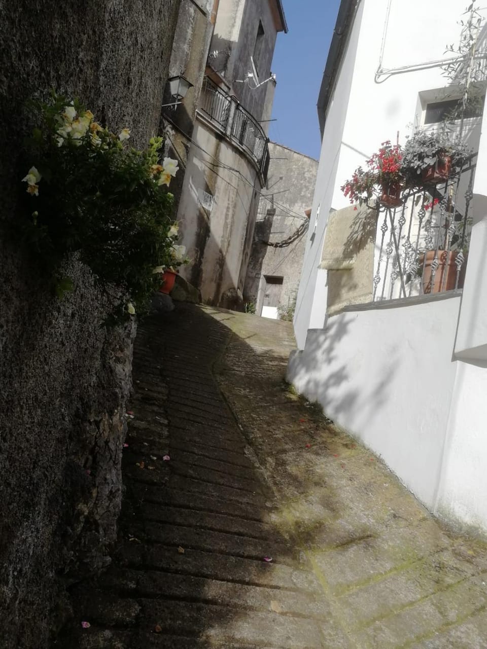 Neighbourhood, Street view