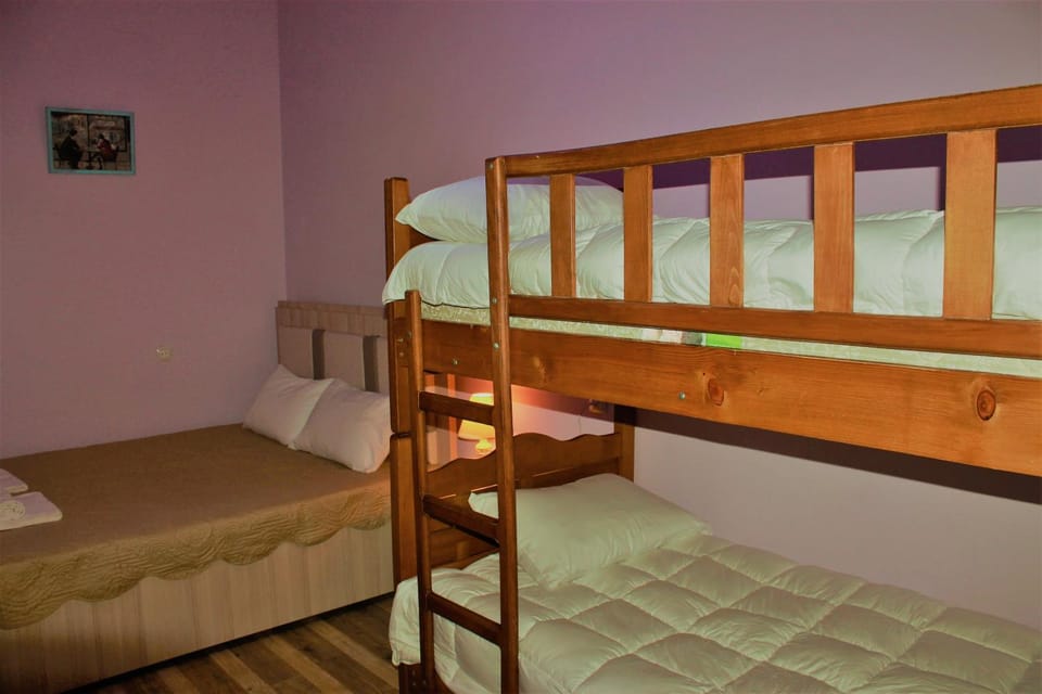 Bed, Photo of the whole room, Bedroom, bunk bed