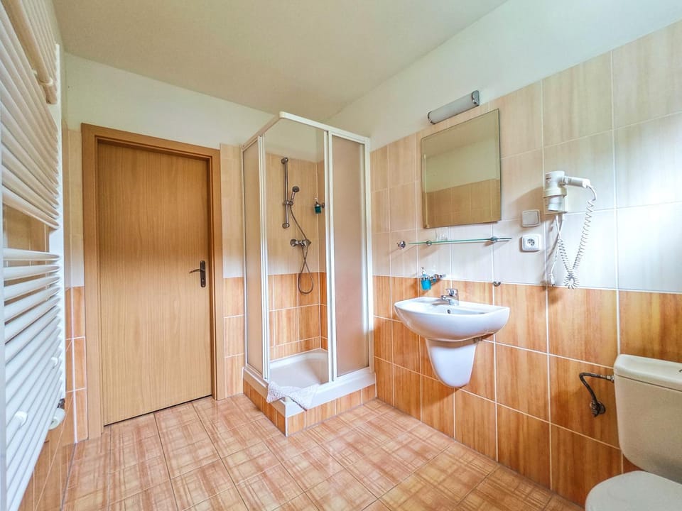 Hotel Bazant Hotel in Saxony