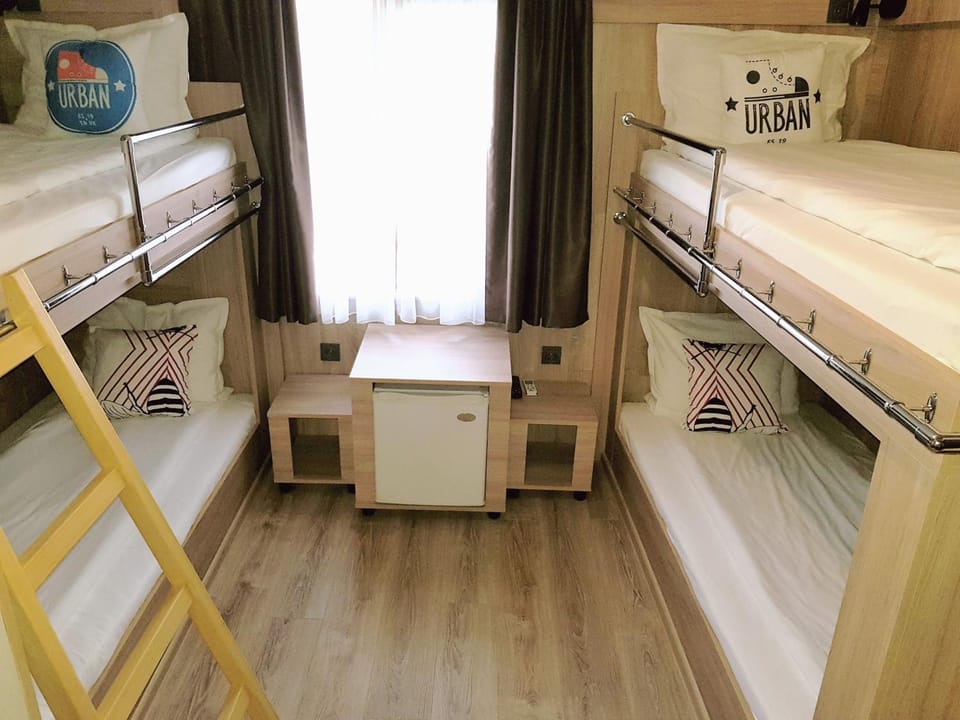 Bed, Photo of the whole room, bunk bed