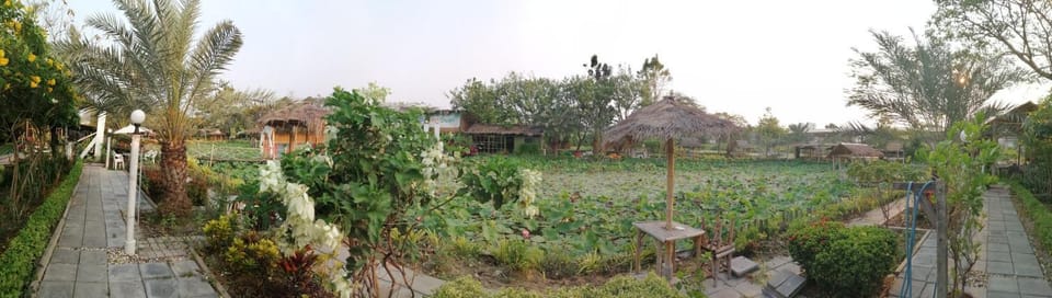 Garden view