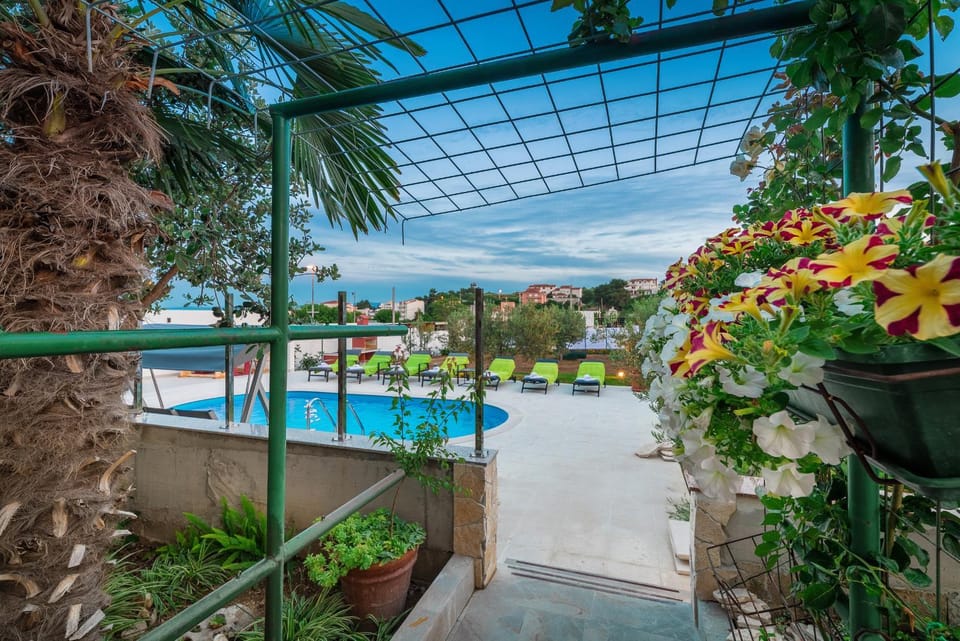 Pool view, Swimming pool