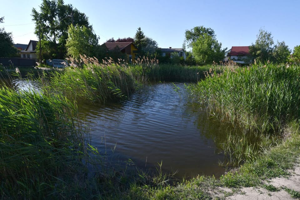 Beach, Lake view