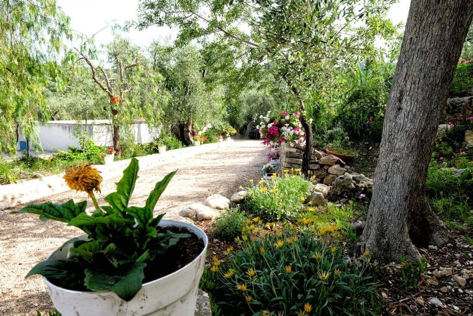 Garden, Garden