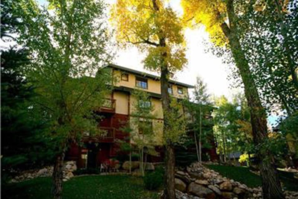 Pines at Orehouse 101 PH1 Apartment in Steamboat Springs