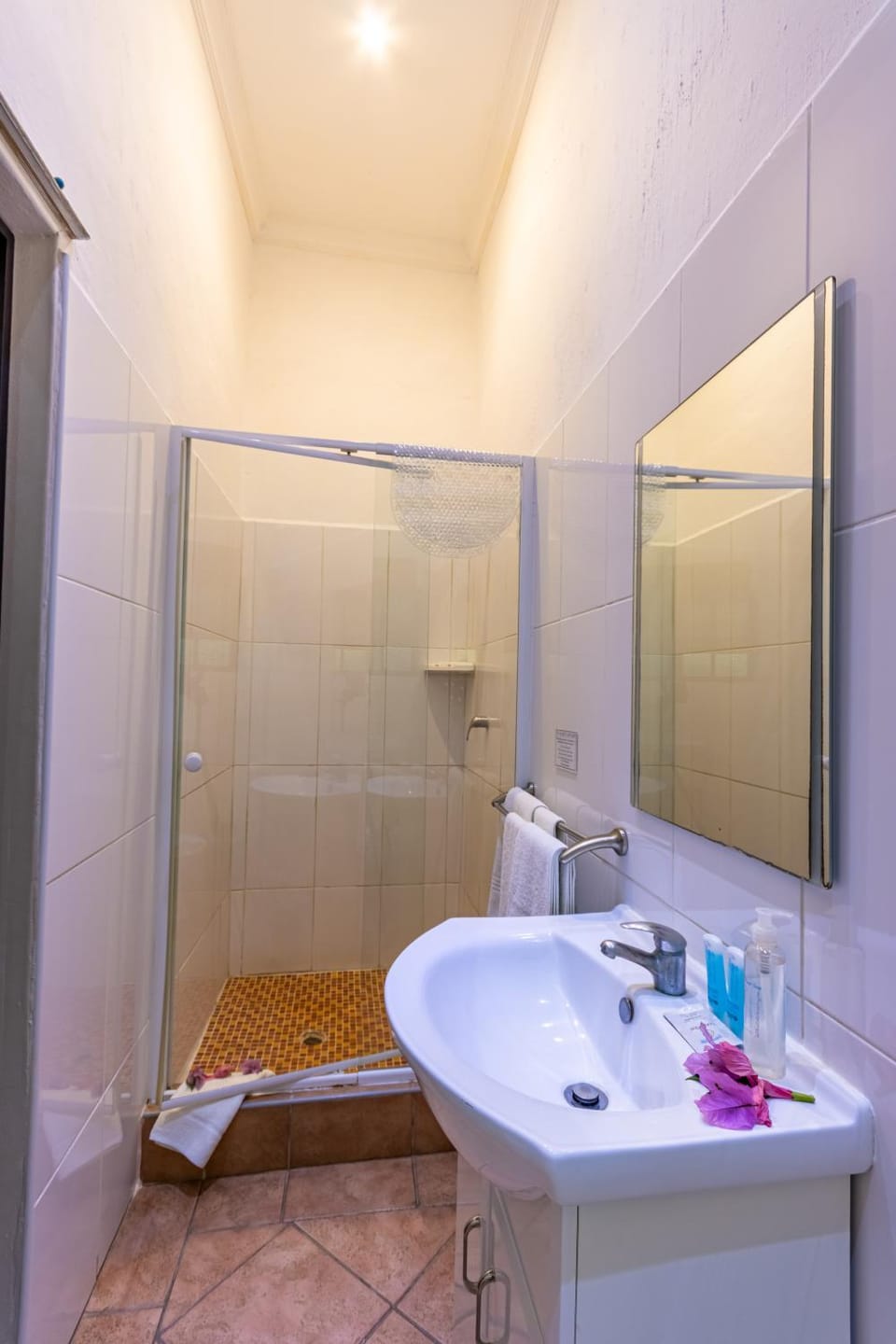 Shower, Bathroom, towels